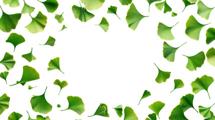 Fresh green ginkgo leaves scattered artistically forming natural botanical frame with empty center for text space creative nature concept on white background