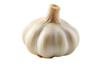 Garlic bulb resting