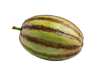 Striped zucchini resting, isolated on transparent background