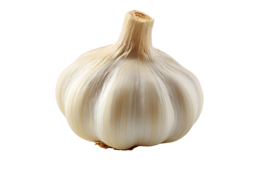 Garlic bulb resting