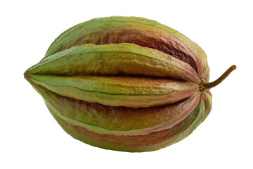 Striped zucchini resting, isolated on transparent background
