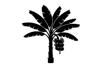 Banana Tree Silhouette isolated on a white background