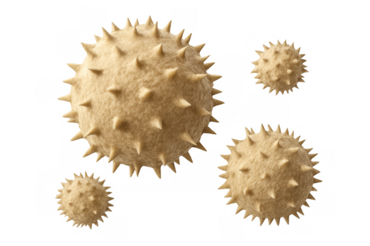 Pollen grains causing allergy and hay fever, microscopic immunology representation, spiky plant seed cells floating in air