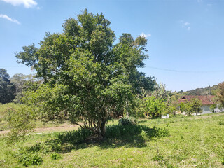 ree shadow, eleven hour, Sao Paulo, Brazil