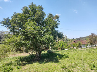 ree shadow, eleven hour, Sao Paulo, Brazil