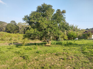 ree shadow, eleven hour, Sao Paulo, Brazil