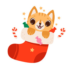 Cute Christmas cat inside festive stocking. Adorable cartoon kitten popping out of a red Christmas stocking with candy, stars, and candy canes, spreading holiday cheer.
