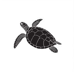 Fototapeta premium Sea turtle swimming in clear ocean water with coral 