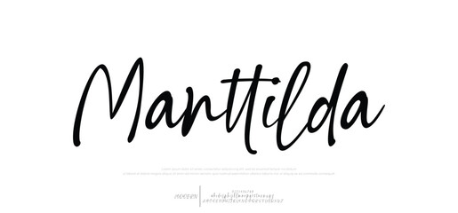 Hand drawn vector alphabet. Modern monoline signature script font. Elegant Signature Font. Best Alphabet Beautiful Calligraphy Signature Font lettering