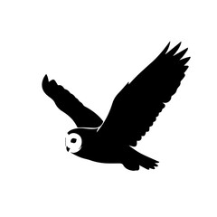 Silhouette of a flying owl with outstretched wings, captured in mid-flight against a white background.
