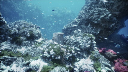 Obraz premium Beneath the shimmering ocean surface, colorful coral formations thrive amid schools of small fish.
