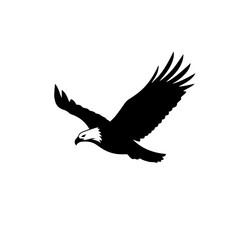 Fototapeta premium A black silhouette of a bald eagle in flight with its wings spread wide against a white background.