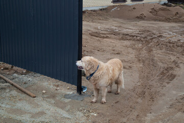 Obraz premium Installation of a fence around the house. Posts made of iron.