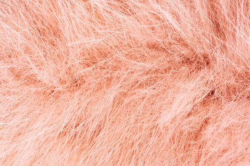 Obraz premium Warm coral pink fluffy faux fur abstract backdrop. High quality photo
