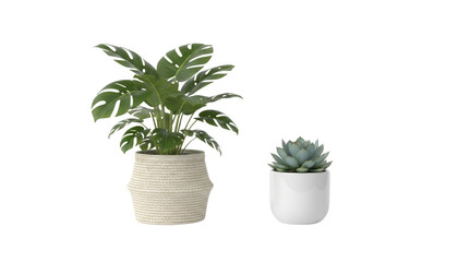 Obraz premium Set of decorative houseplants in pots isolated on transparent background
