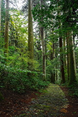 Taki-jinja or Shrine in Gifu, Japan - 日本 岐阜 瀧神社