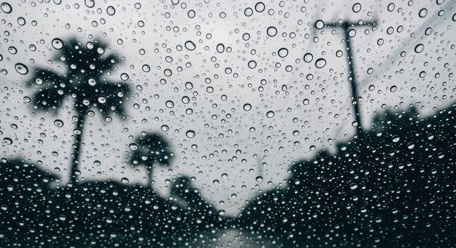 Water drops on a glass surface during a rainy day. Blurred tropical landscape with palm trees. Driving in a storm concept. Abstract condensation texture for creative design