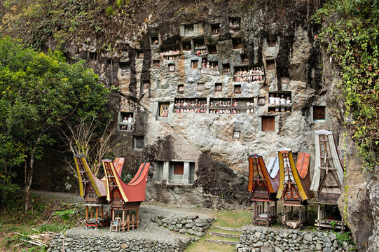 s&eacute;pultures en pays Toraja