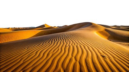 sahara desert morocco