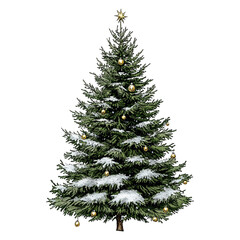 Watercolor Christmas tree with star topper, snow-covered branches and golden baubles, perfect for festive cards, winter decor and digital holiday designs