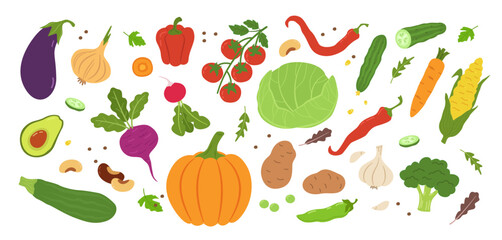 Fototapeta premium Flat vegetable set. Fresh farm vegetables, healthy organic food vegetarian ingredients. Gourd, pepper and tomato, carrot and potato, onion and eggplant, avocado and broccoli, garlic. Vector set