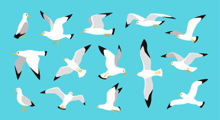 Seagulls. Flying sea bird in sky, seagull in various poses. Cartoon cute seabird flight. Vector isolated set