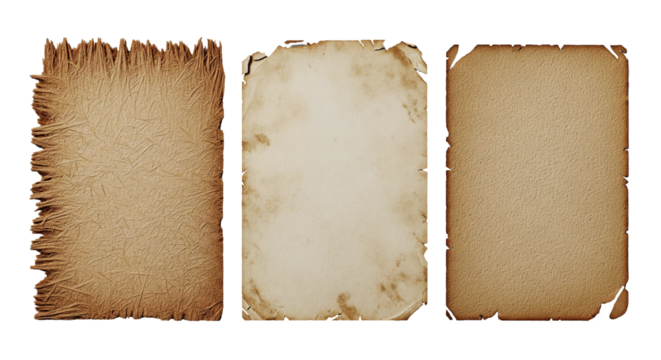 Three aged, parchment paper sheets, varying in tattered edges and staining, are arranged side-by-side against a white backdrop, bathed in warm, diffused light, evoking antiquity.
