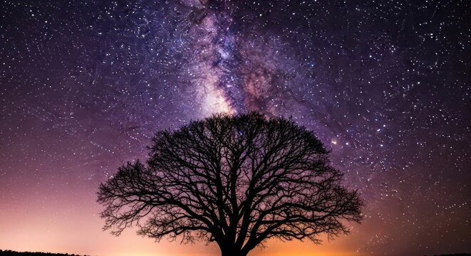 Solitary tree silhouette against a cosmic night sky. The vibrant Milky Way galaxy overhead. Conceptual design for growth and connectivity. A spiritual journey into the universe