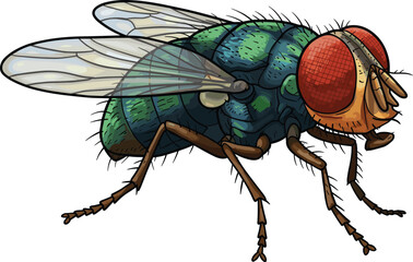 Realistic cartoon housefly, detailed insect illustration, red eyes and wings, educational bug vector, segmented body design, entomology concept, fly anatomy ©  Creative Crafter