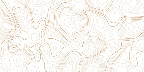 Topographic Contour Art in the Style of Classic Surveyor Maps with Rustic Linework, Organic Earth Tones, and a Strong Connection to Natural Geography. Vector  Illustration