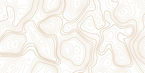 Topographic Contour Art in the Style of Classic Surveyor Maps with Rustic Linework, Organic Earth Tones, and a Strong Connection to Natural Geography. white background topo.