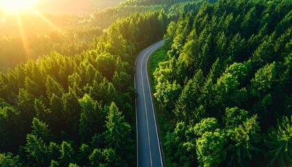 Scenic aerial view of a winding road cutting through a dense green pine forest during a vibrant golden sunrise