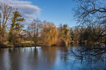Late Autumn/Early Winter Scene by a Pond in a Historic Park: Reflections of Bare Trees and Willows in the Water on a Clear Day
