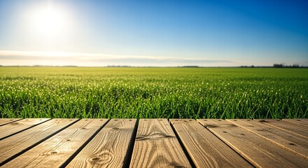 Wooden Deck Overlooking a Lush Green Field Under a Bright Sun.