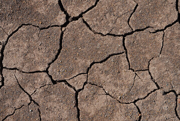 The dry and cracked land is a result of a lack of rainfall. The soil appears dry and has a dark brown color. 