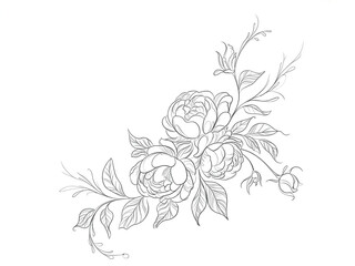 Elegant delicate line art drawing of a blooming rose bouquet with leaves and branches on a white background