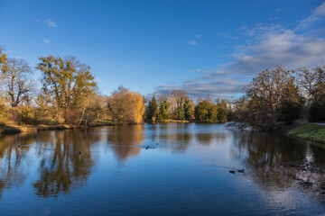 Fototapeta premium Late Autumn/Early Winter Scene by a Pond in a Historic Park: Reflections of Bare Trees and Willows in the Water on a Clear Day