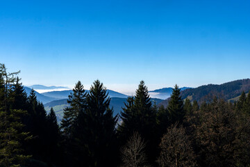 silhouette of trees in an alpine area in Hittisau in Bregenzer Wald in Vorarlberg Austria in autumn 
