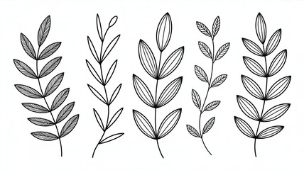 Hand drawn black and white botanical illustrations of various leafy branches and stems in a simple sketch style