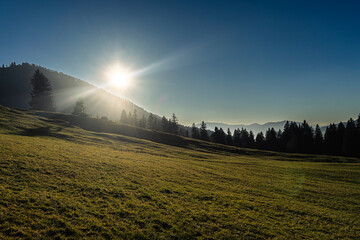 meadow in the backlight of the setting sun in autumn / fall with blue sky in the Lecknertal near Hittisau in Bregenzer Wald in Vorarlberg Austria