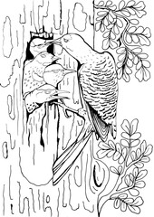 Mother Woodpecker Feeding Chicks in Tree Hollow – Black and White Line Art