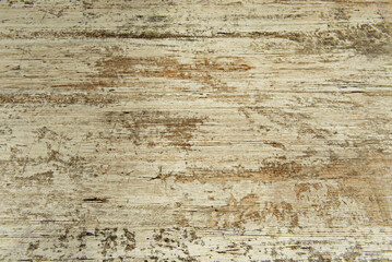 Freshly planed pine planks display their natural golden tones and a pattern of straight grains that converge on the horizon