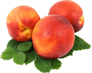 peaches with leaves