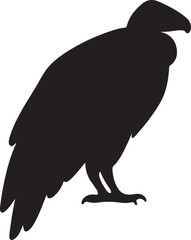 Crow and eagle vector illustration on a white background