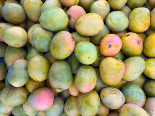 Fresh ripe mangoes piled together in a vibrant market display