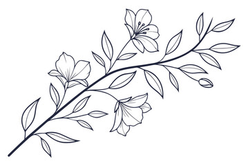 Delicate floral branch with blooming flowers and leaves