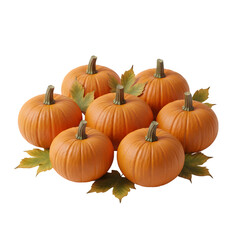 Group Of Seven Vibrant Orange Pumpkins And Autumn Leaves On A Black Transparent Background Illuminated By Soft Studio Lighting