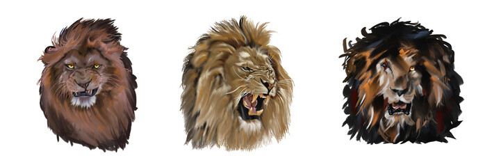 Digital illustration of lion head with fierce expression, wildlife and power concept on transparent background.