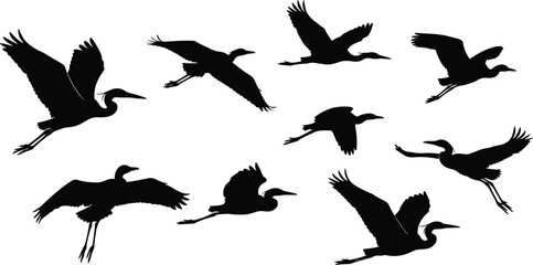 Heron bird silhouettes, flying poses, wing spread, black vector, elegant flight, nature icons, wildlife shapes, feather details, graphic set
