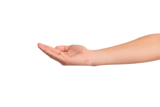 A beautiful hand gesture isolated on transparent PNG.
